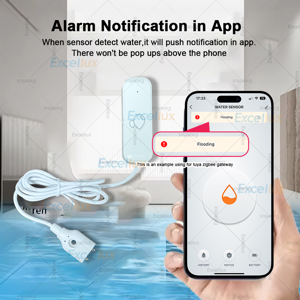 Zigbee Smart Water Leak Sensor - đánh giá và giá Water Alarm Sensor