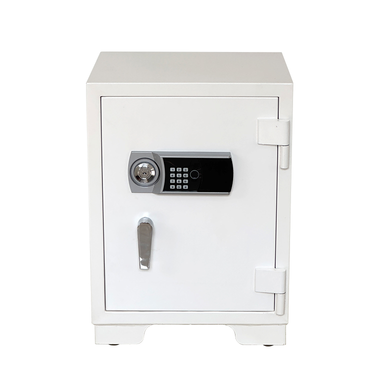 Bank Home Office Deposit Secur - đánh giá và giá Fire Safe Document